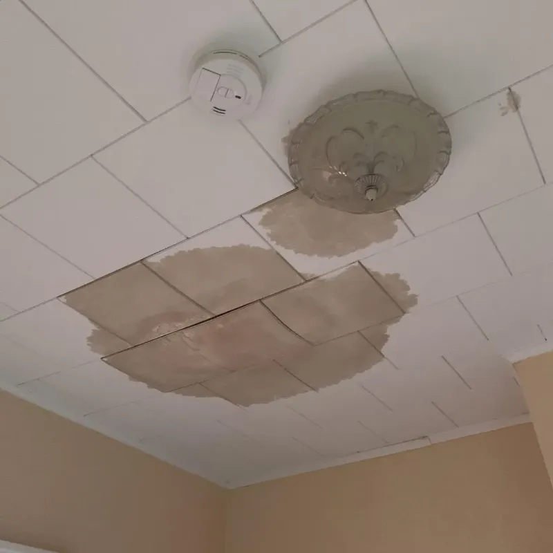 Ceiling Water Damage Repair in Davisboro, GA