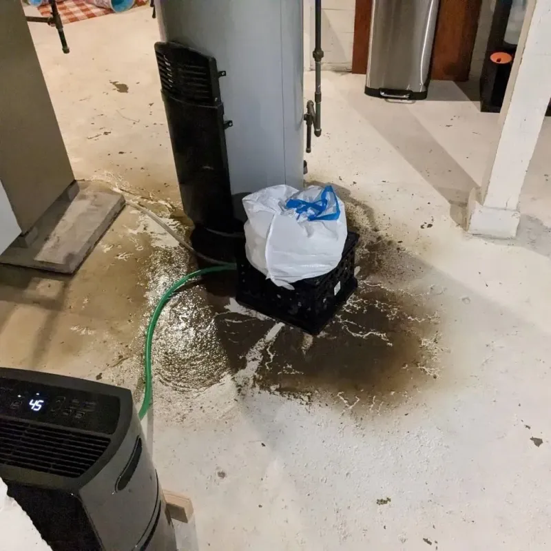 Sewage Backup Cleanup Service in Davisboro, GA